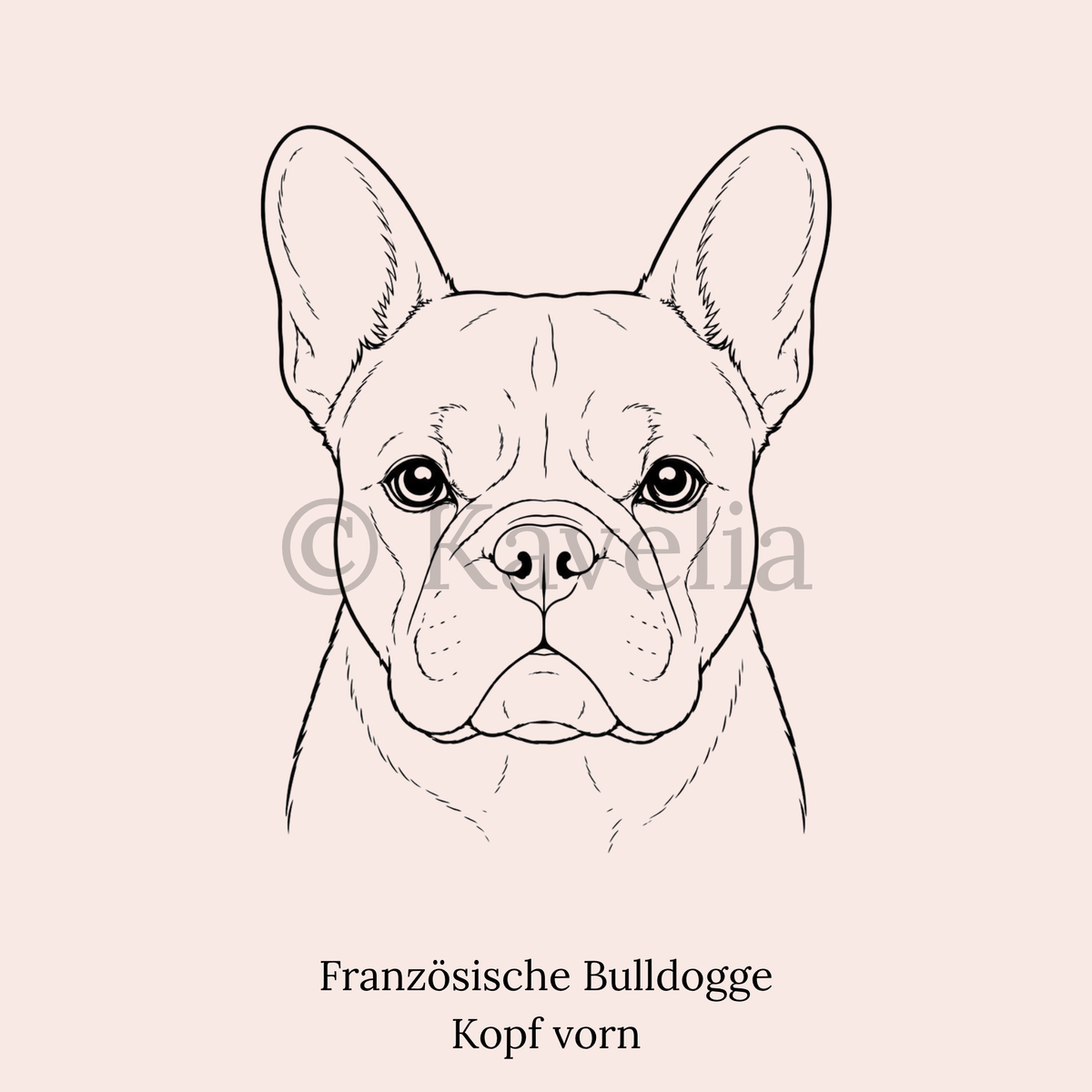 Französische Bulldogge - Schlüsselanhänger personalisiert