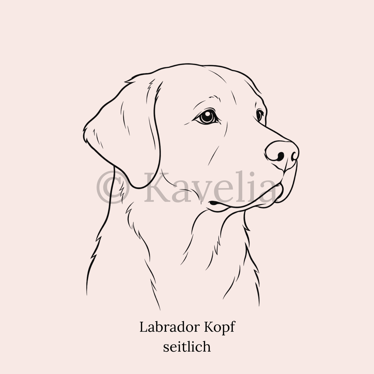 Labrador - Schlüsselanhänger personalisiert